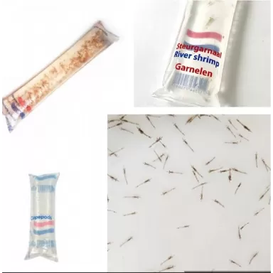 Levend Voer Pakket 10 zakjes