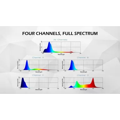 Maxspect MAXSPECT RSX 100w