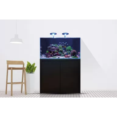 Blue Marine Reef 125 Zwart Compleet