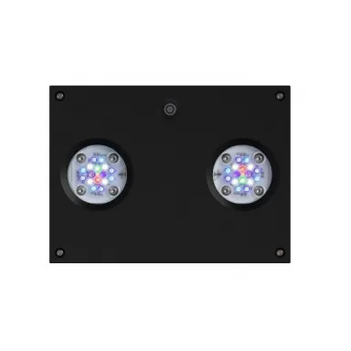 D-D Hydra 32 HD Black