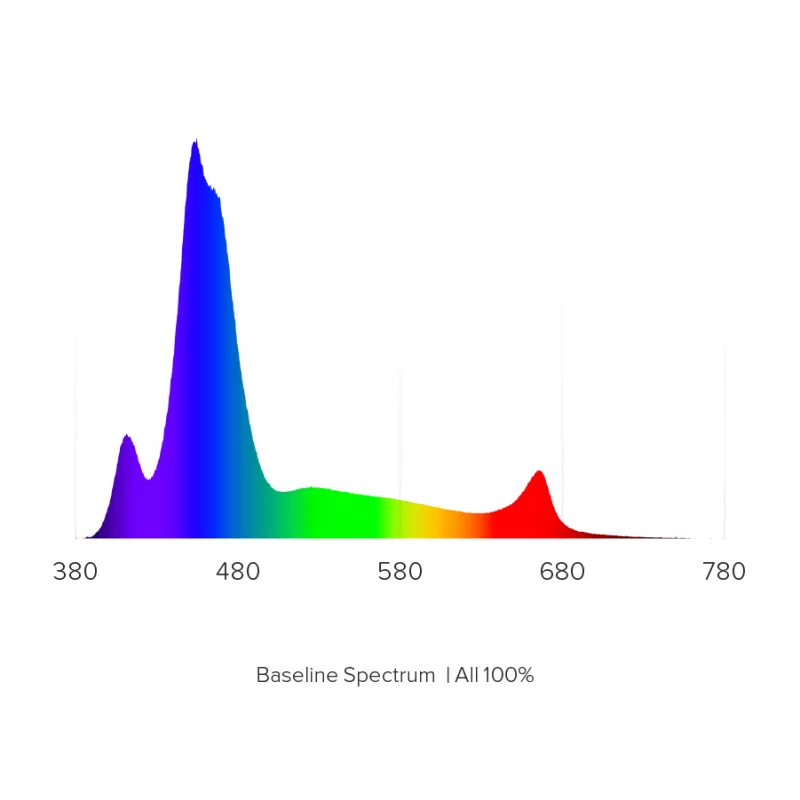 D-D Hydra 32 HD Black