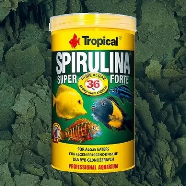 Spirulina Super Forte 250 ml