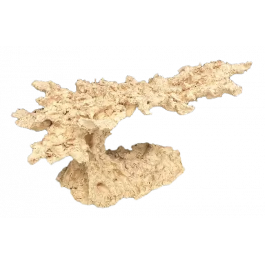 Arka Flying Reef Ceramic 60cm
