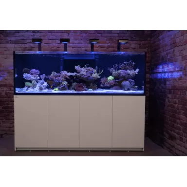 Red Sea REEFER 3XL 900 Deluxe System White