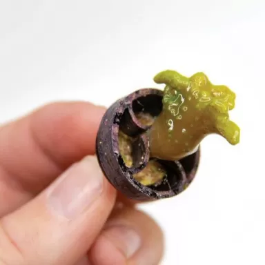 VCA Frag Gripper No Glue Frag Mounting System White