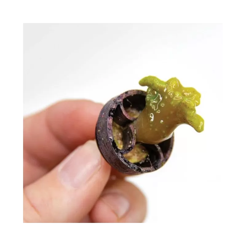 VCA Frag Gripper No Glue Frag Mounting System White