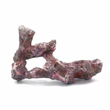 Dutch Reef Rock Bones (Dry) p/kg