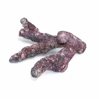 Dutch Reef Rock Bones (Dry) p/kg