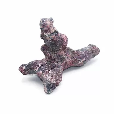 Dutch Reef Rock Bones (Dry) p/kg