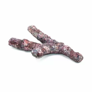 Dutch Reef Rock Bones (Dry) p/kg