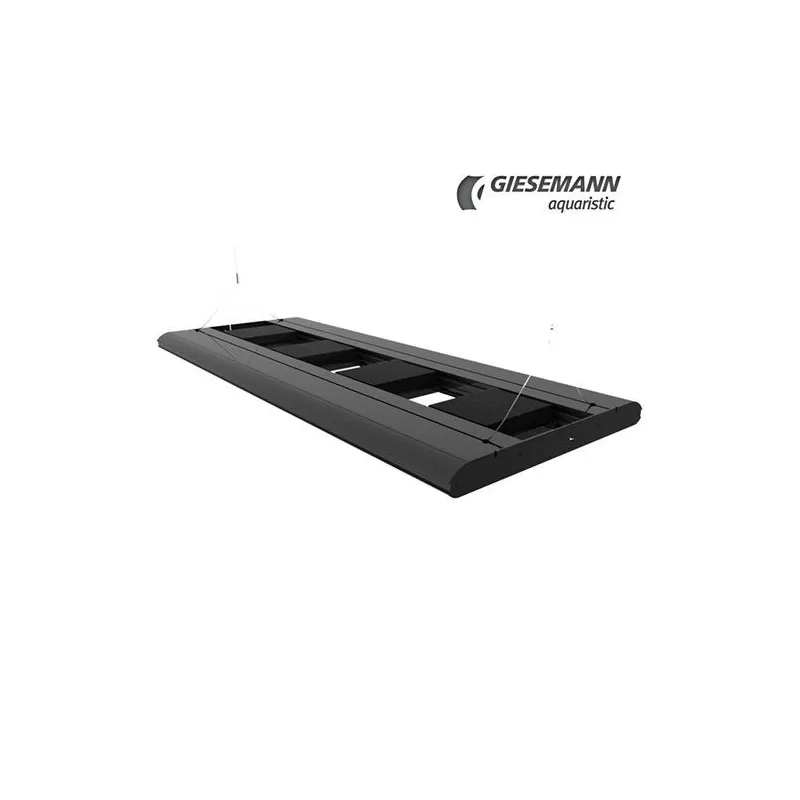 Giesemann STELLAR - 600 mm - Irridium Metallic