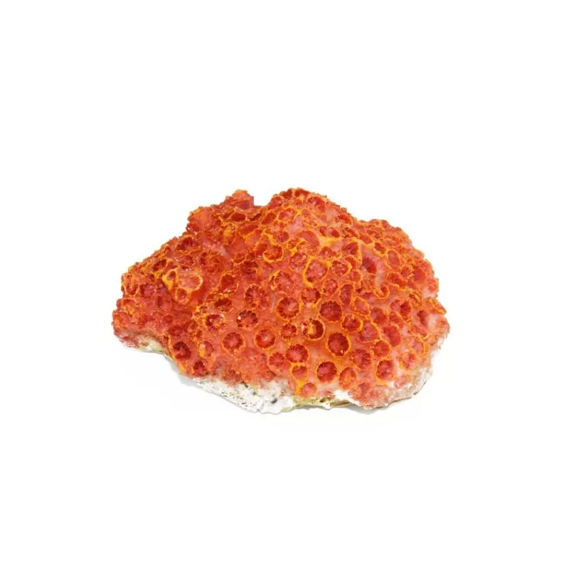 Kunstkoraal Aardbeikoraal