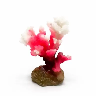 Kunstkoraal Pocillopora Roze/Wit