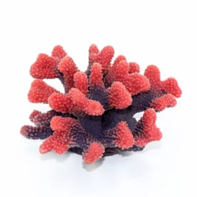 Kunstkoraal Pocillopora Rood