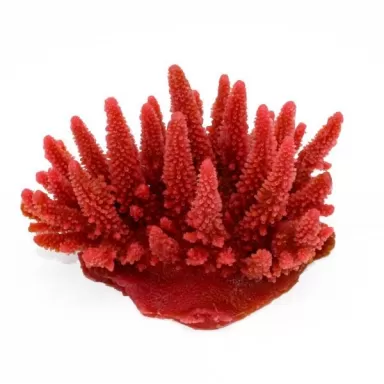Kunstkoraal Acropora Rood