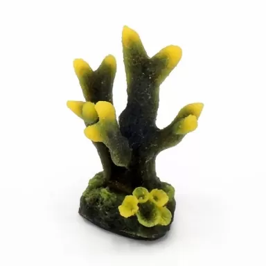 Kunstkoraal Acropora Geel