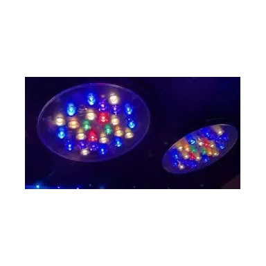 Focustronic Solartronic