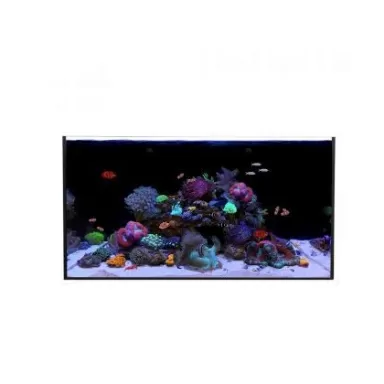 Waterbox All In One 65.4 (Alleen Glas)