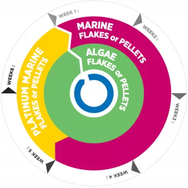 Vitalis Platinum Marine Flakes 40g