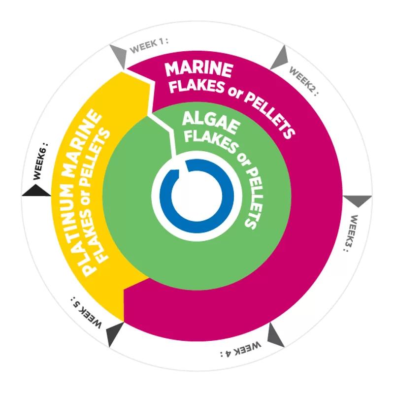 Vitalis Platinum Marine Pellets XS 1mm 70g