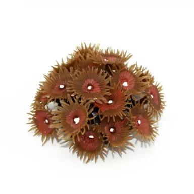 Kunstkoraal zoanthus colony tan