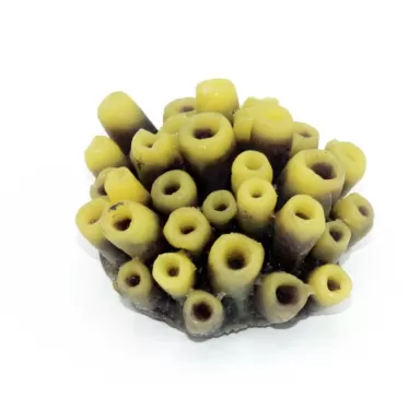 Kunstkoraal tube sponge geel paars