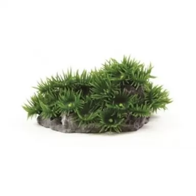 Kunstkoraal palythoa donker groen 13 x 12 x  7cm