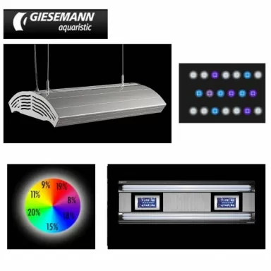 Giesemann Aurora  Hybrid 600