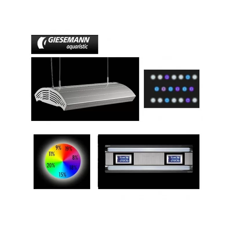 Giesemann Aurora  Hybrid 600