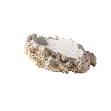 Arka tridacna holder L