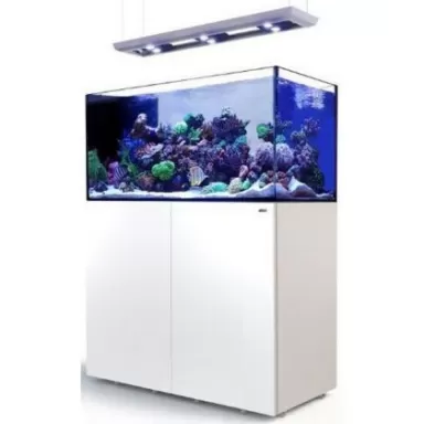 Red Sea Reefer XL 900 Deluxe System Black 3 RL 160