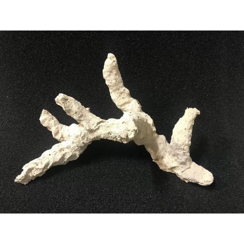 Riffkeramiek branches 20cm