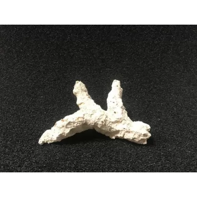 Riffkeramiek Branches 30cm