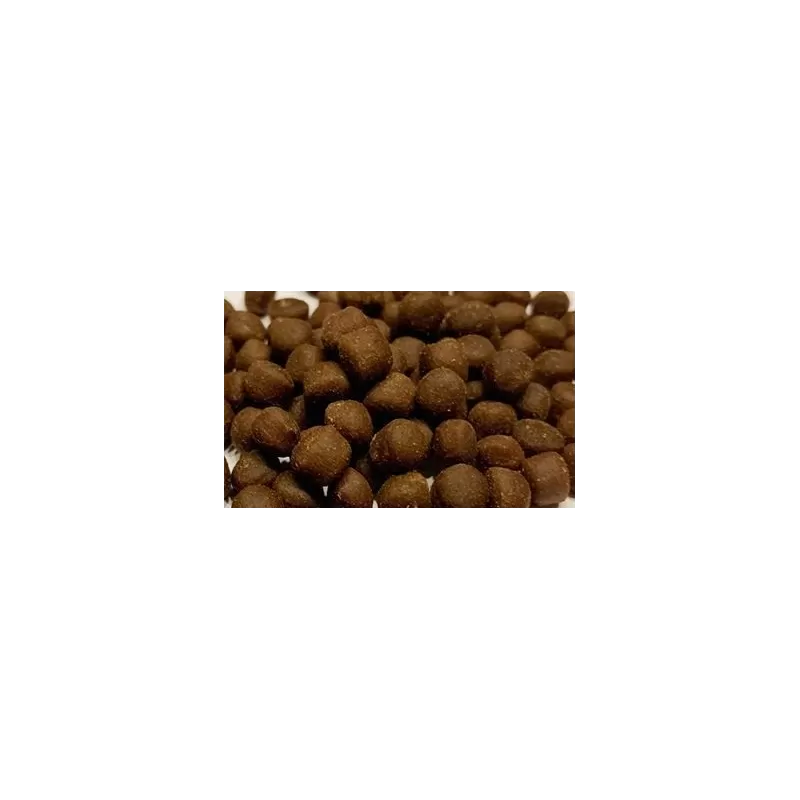 Ocean nutrition coral pellets large 100g
