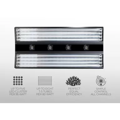 Giesemann Aurora V8 900mm Pure