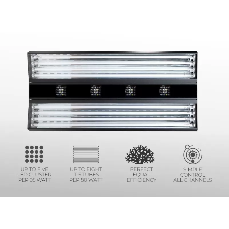 Giesemann Aurora V8 1500mm Pure