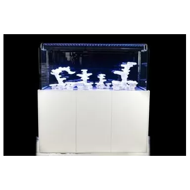 REEFTANK 540 Ltr Aquarium
