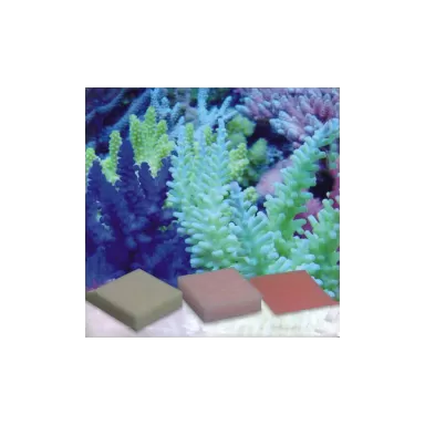 Korallen Automatic Elements Amino Acid 5 pcs