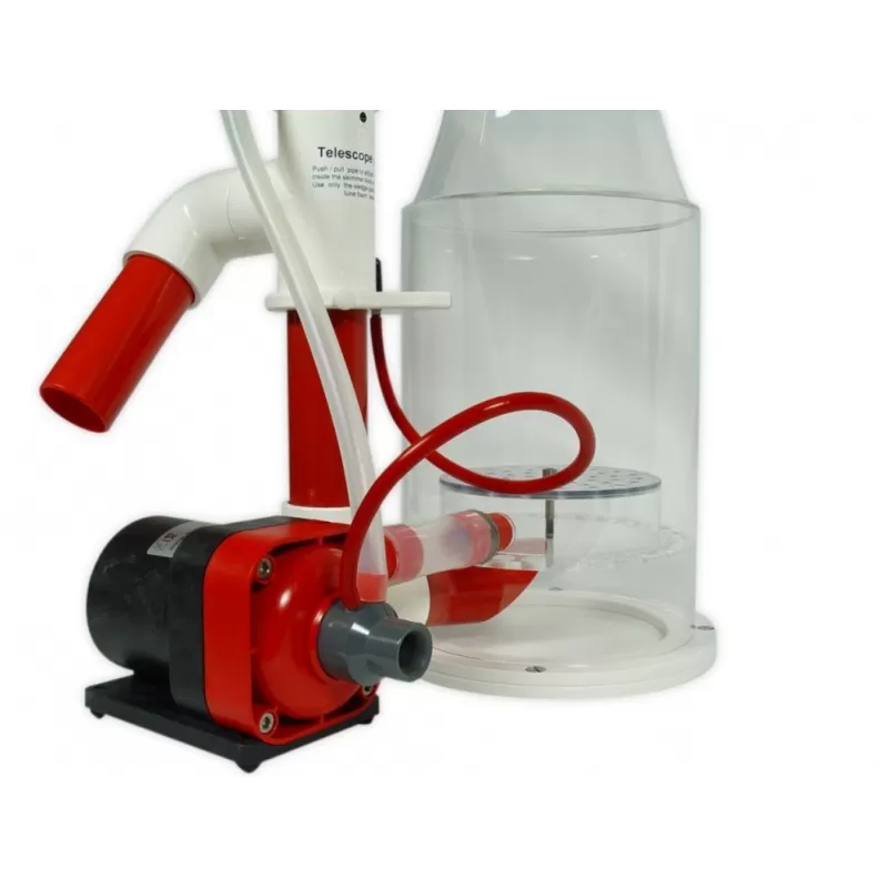 Royal Exclusiv Bubble King DeLuxe 200 Internal RD3 Speedy