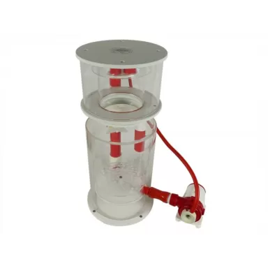 Royal Exclusiv Bubble King Double Cone 250 RDX DC 24V