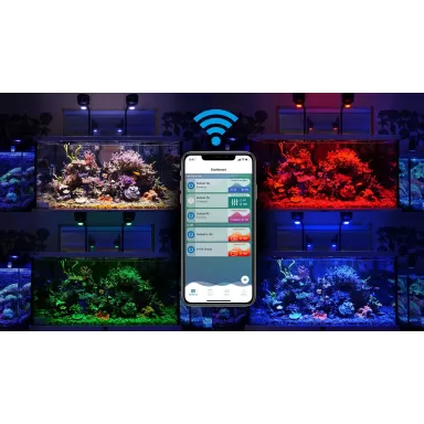 Kessil Led A500X Tuna Blue