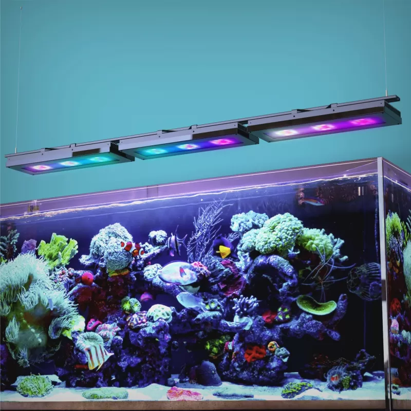 Reef Factory Reef Flare L Black 180W