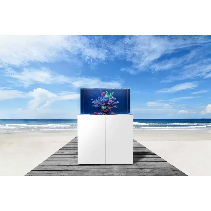 Nyos OPUS G2 440 Pro Line White