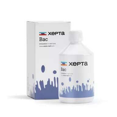 XEPTA Bac 500ml