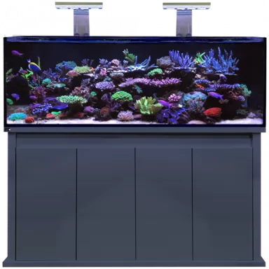 D D Reef Pro 1500 Anthracite