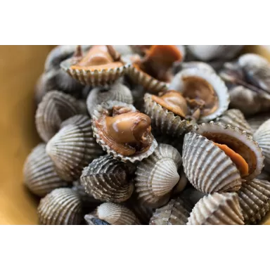 Ocean nutrition whole cockle 100g