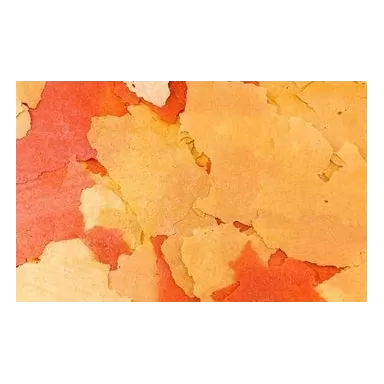 Ocean nutrition goldfish flake 156g