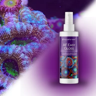 Aquaforest easy gloss 200ml