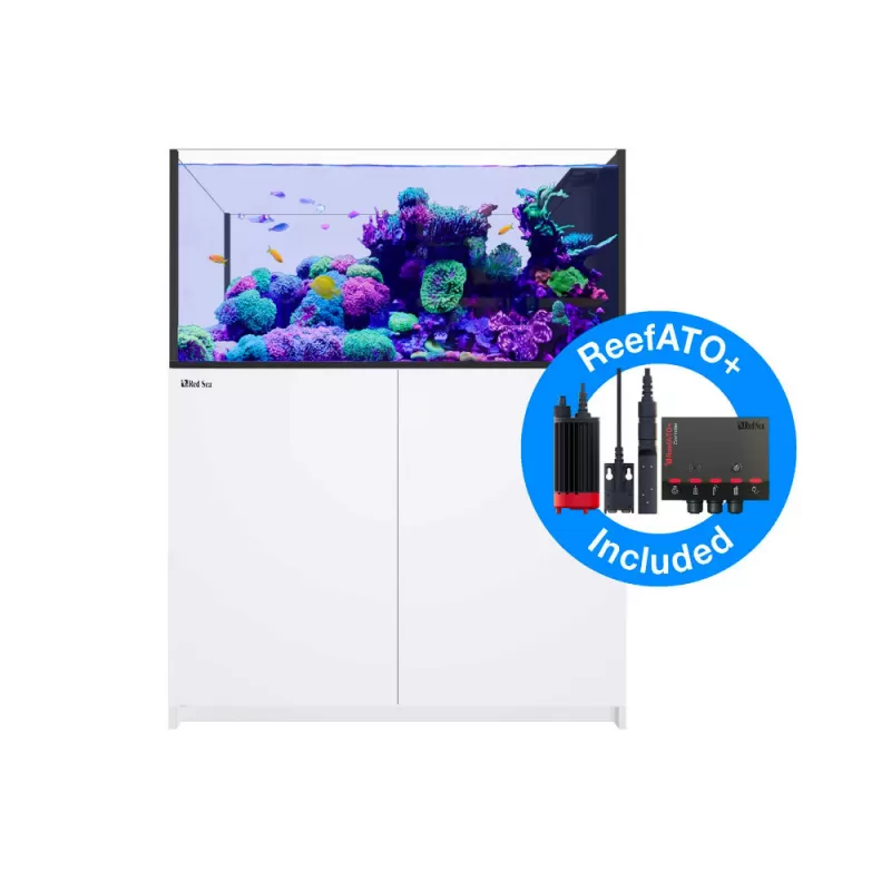 Red Sea Peninsula P500 Deluxe wit | Coralandfishstore.nl