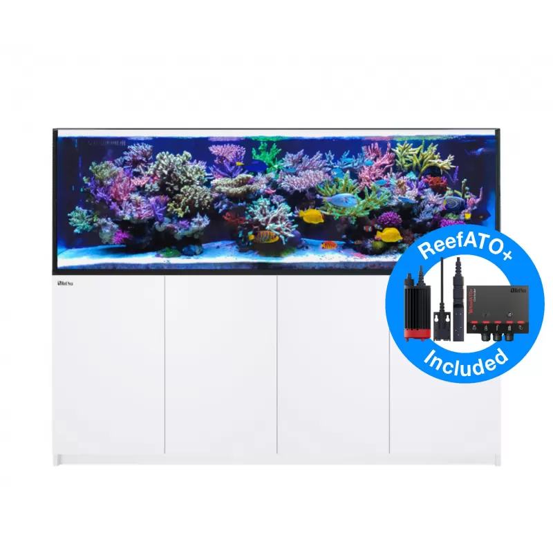 Red sea REEFER Peninsula G2 S-950 ✔ Bestel eenvoudig online! ✔ Laagste prijs